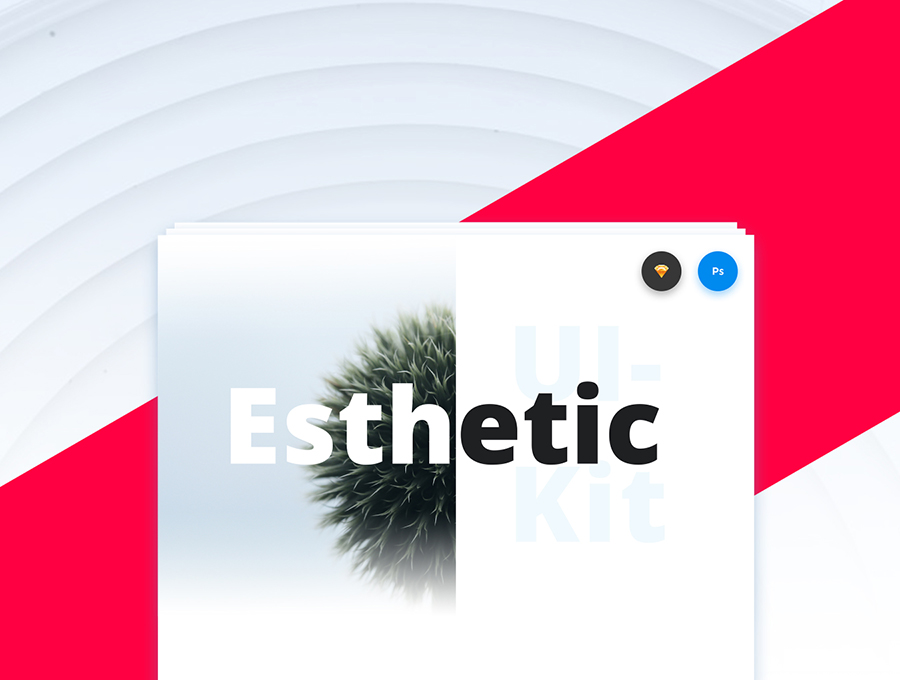 现代简约风格UI工具包Esthetic UI Kit #56