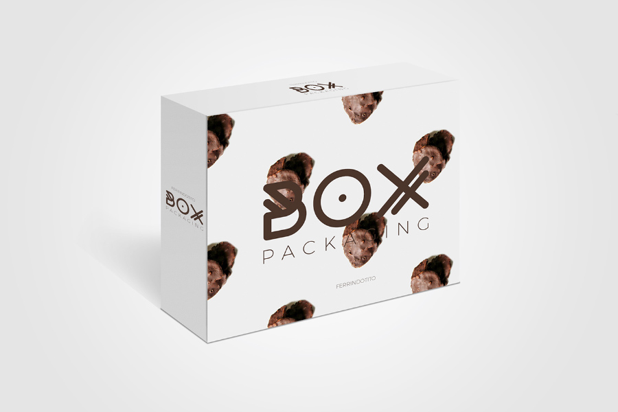 包装盒模型PSD贴图模板Box Packaging Mock