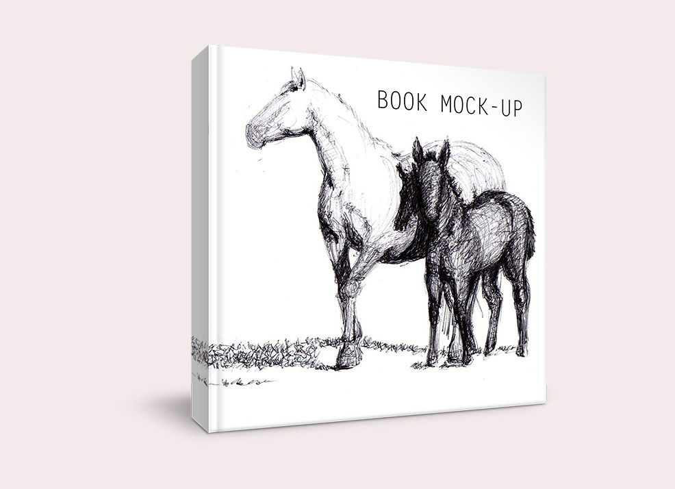 书籍模型PSD贴图模板Book Cover Mockup V