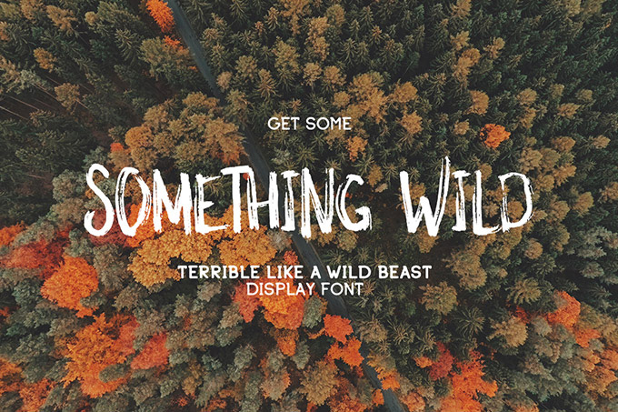 创意原始手绘英文字体Something Wild Free