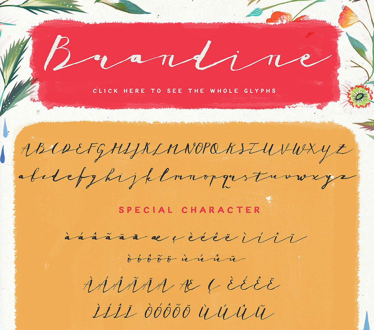 创意女性草书英文字体Brandine