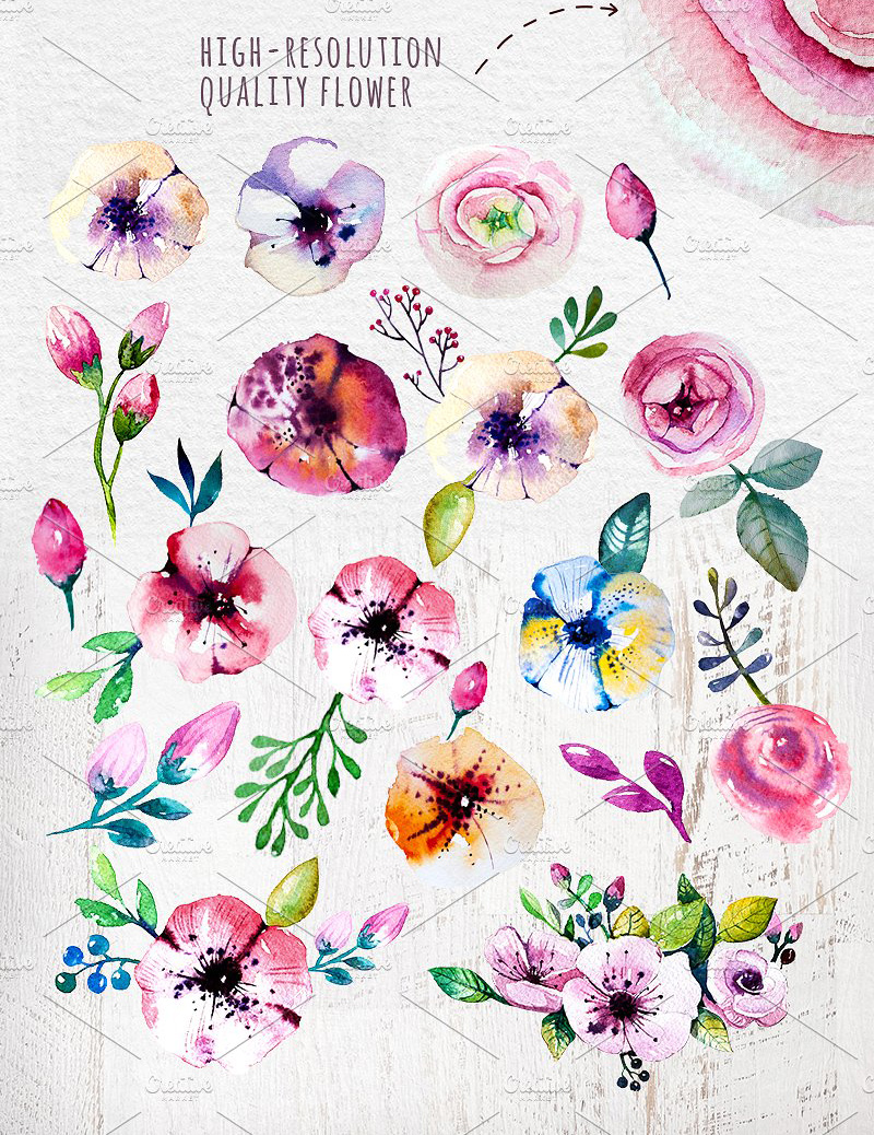 Floral watercolor set 水彩 &