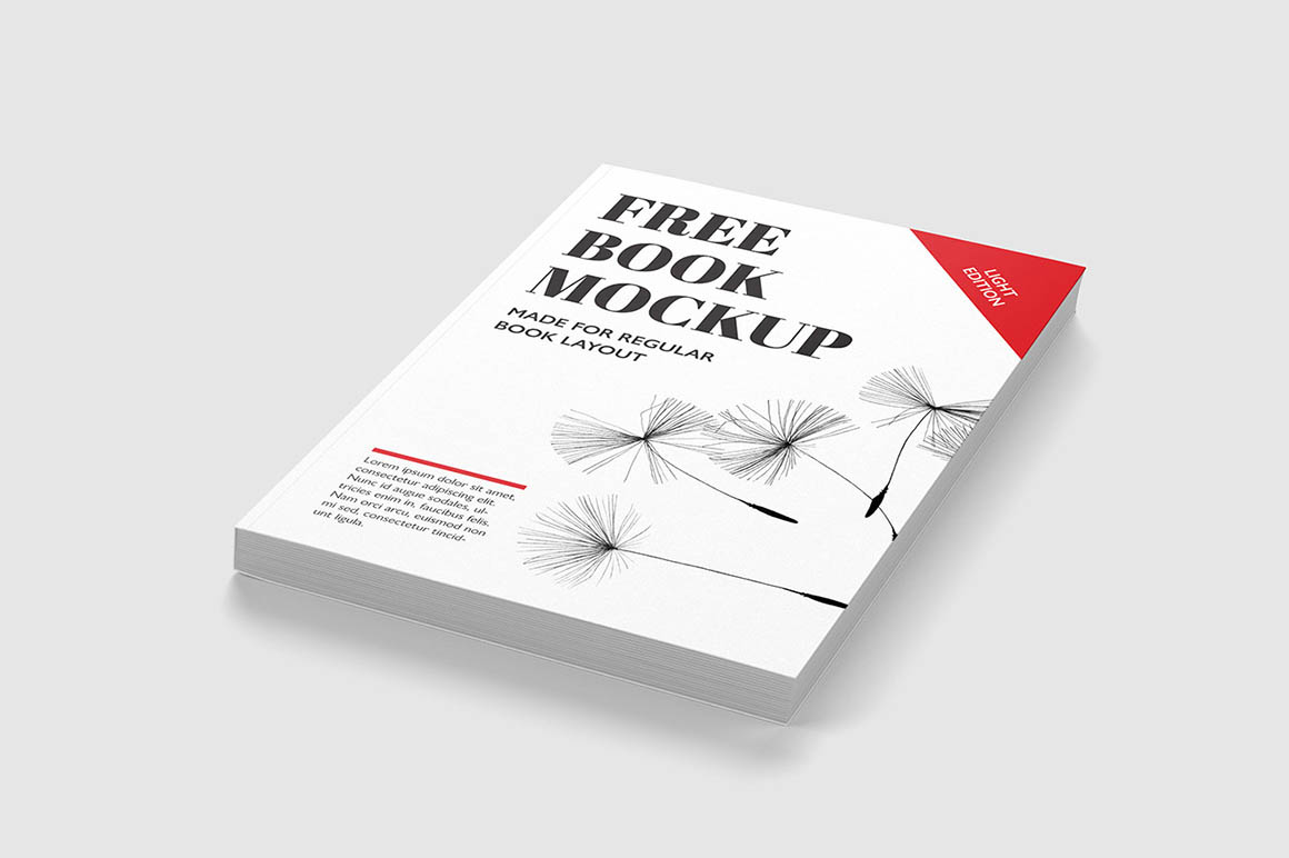书籍模型PSD贴图模板Free Book Mockups V