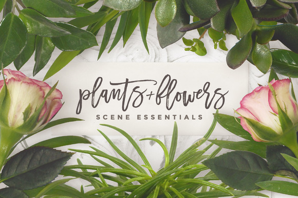 PlaPlants & Flowers - SCEN