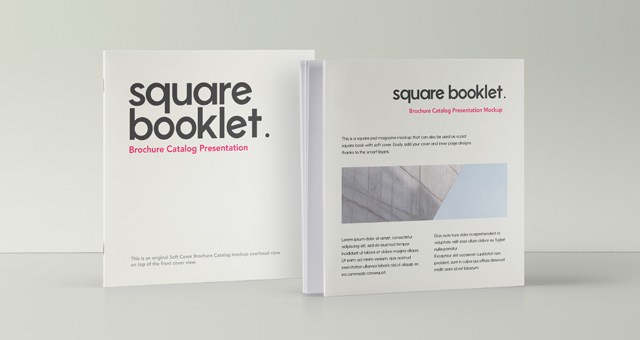 直立书籍杂志模型PSD贴图模板Square Psd Broc