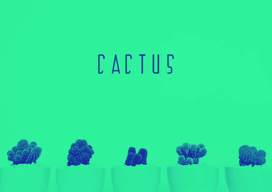 现代气息几何英文字体Cactus Display Free