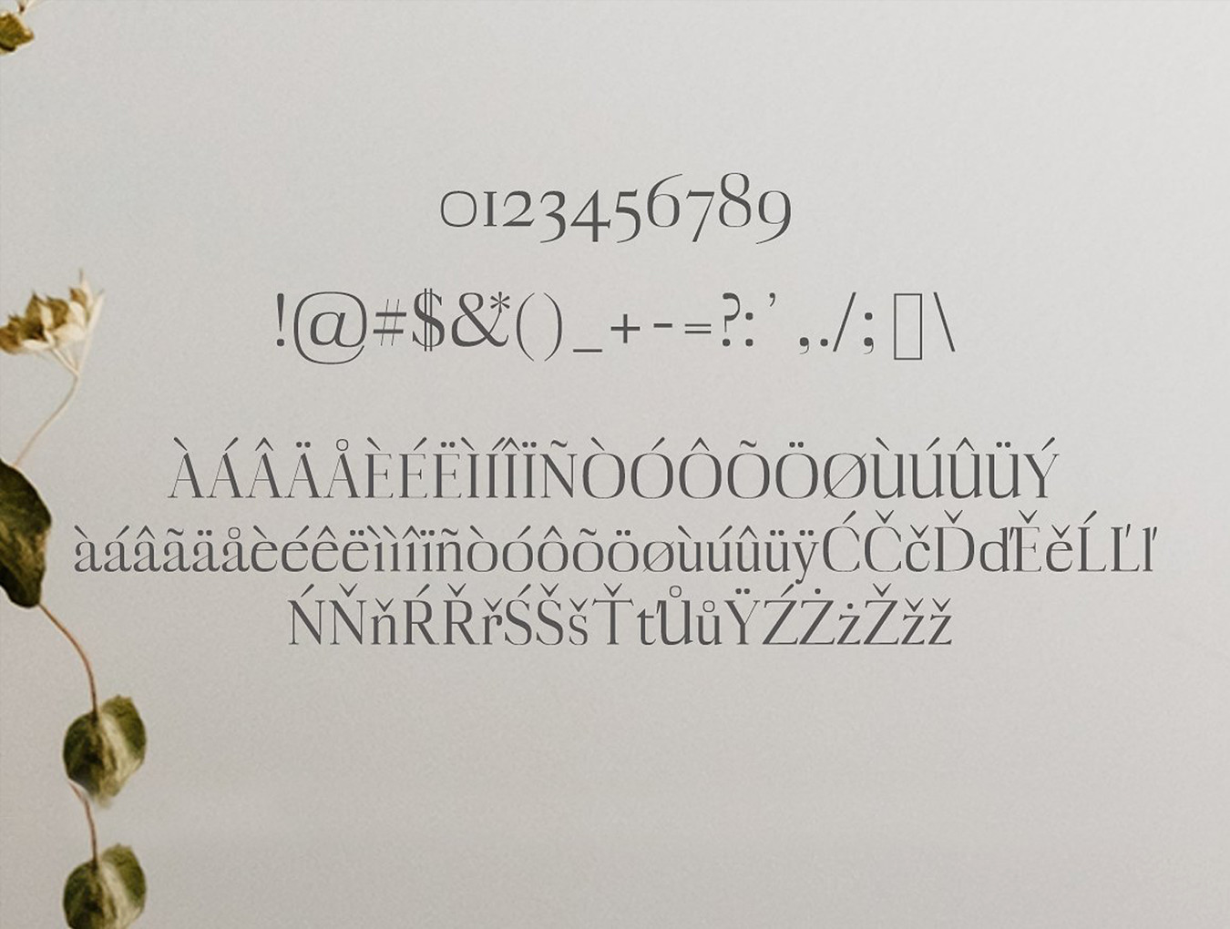 一款漂亮优雅的英文字体Myron Serif Typefac