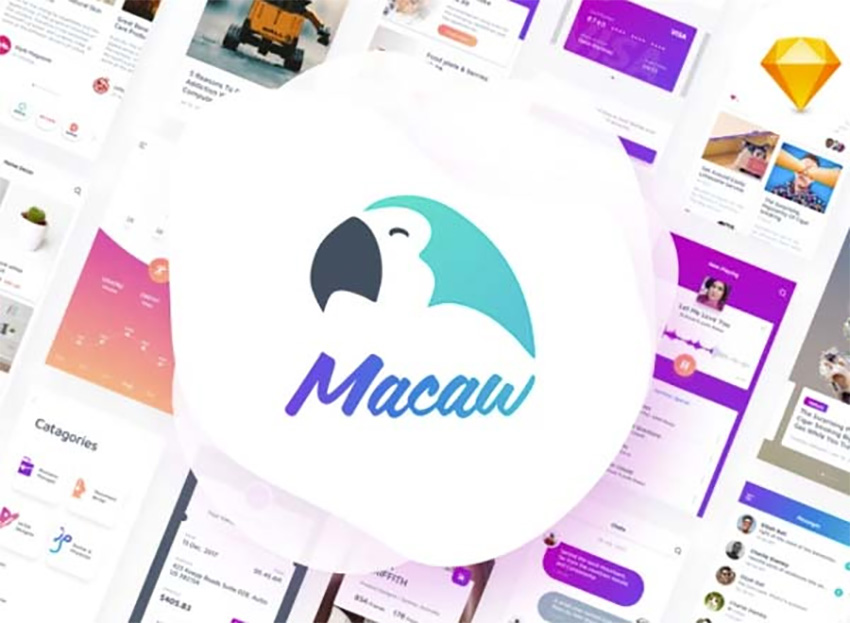 时尚女性化的多功能APP Macaw UI Kit