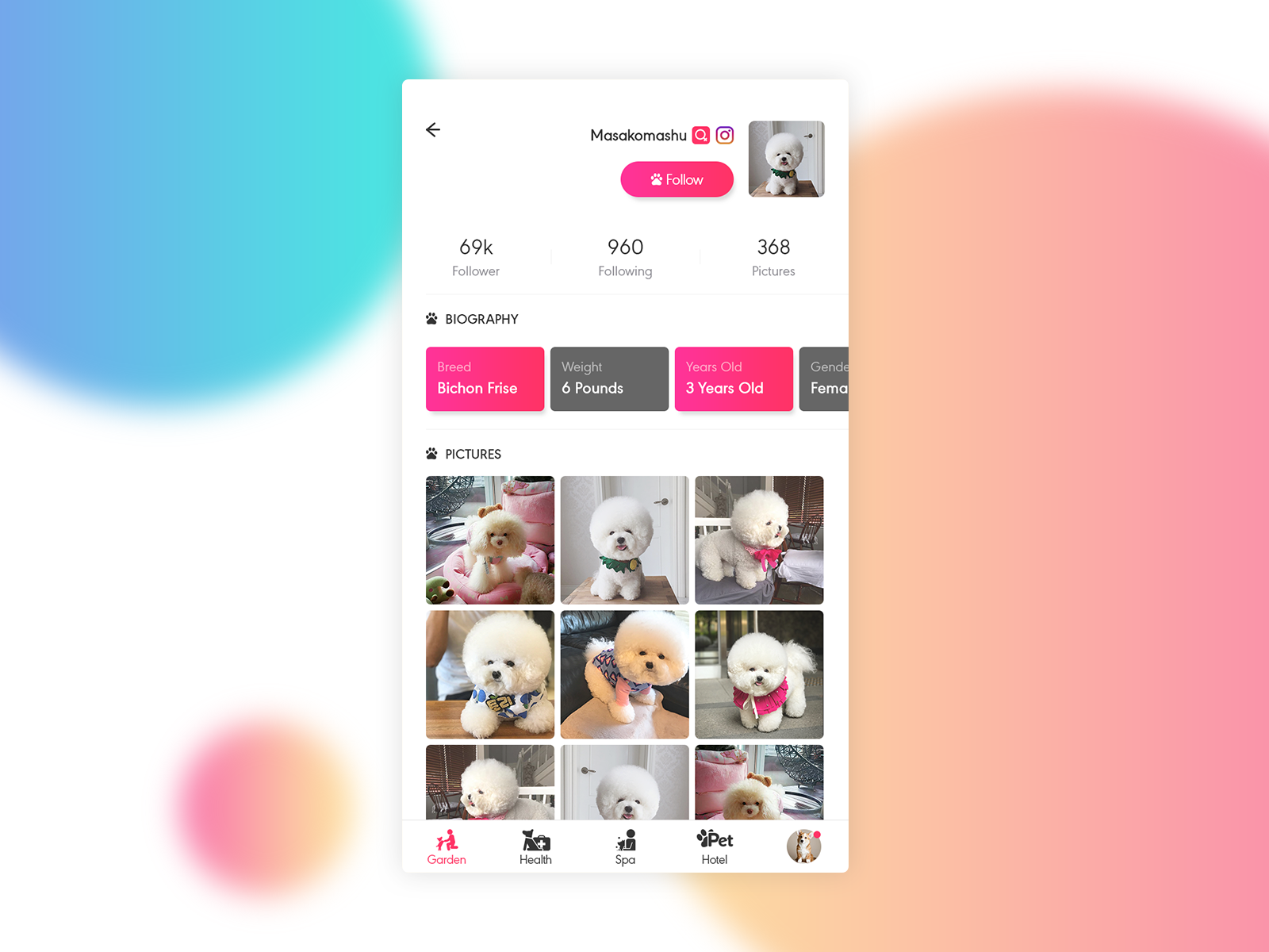 Roxi – Social App For Pet Love