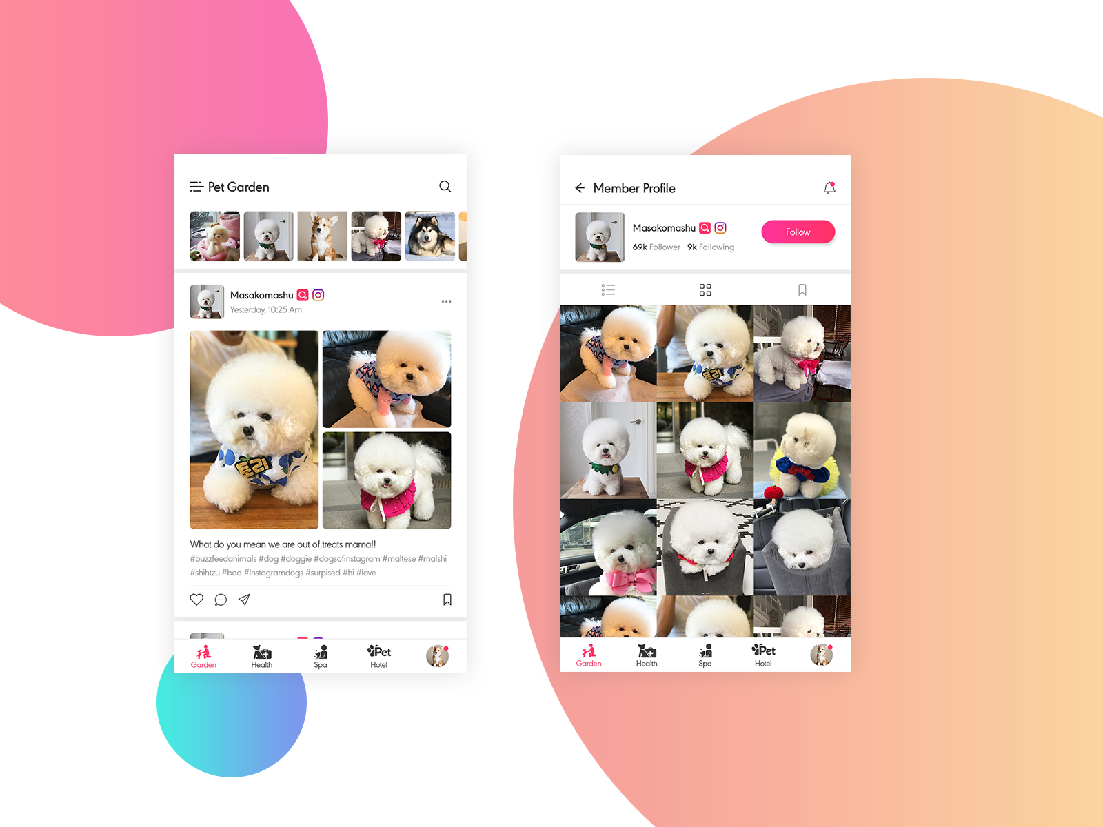 Roxi – Social App For Pet Love