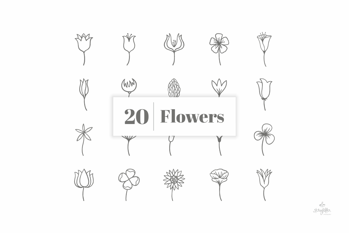 手绘简画装饰花卉元素合集 Floral Element