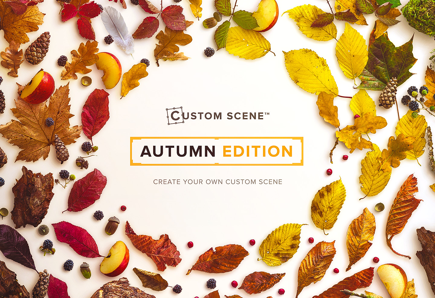 Autumn秋季设计元素素材完整版