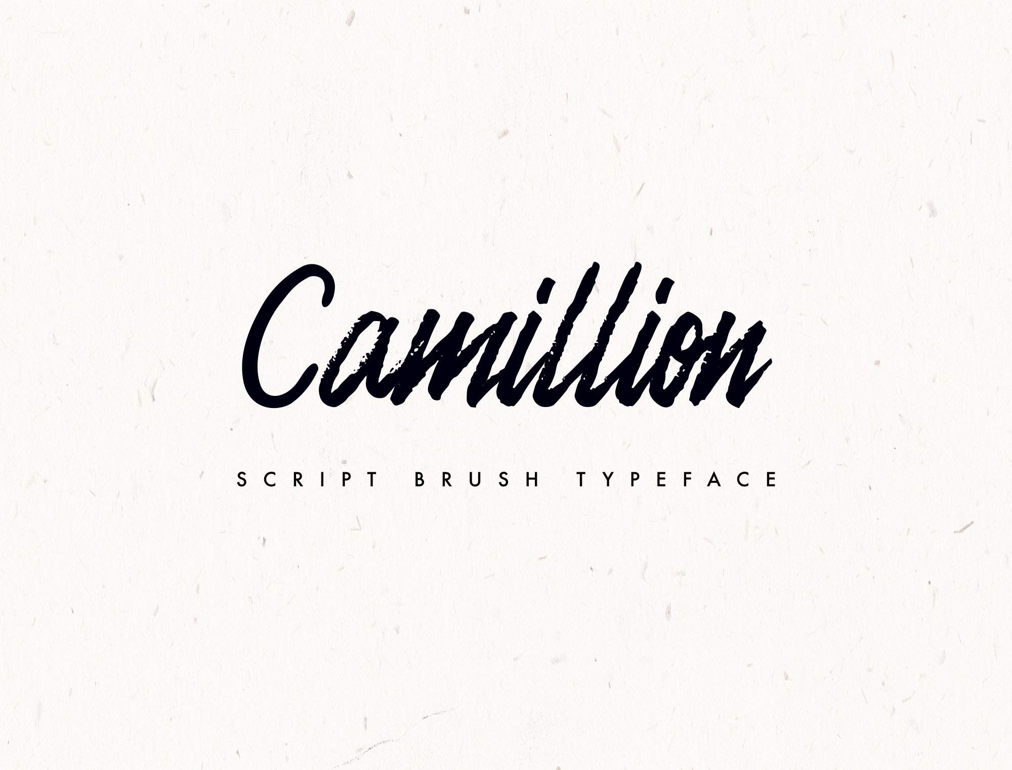 一款笔刷手写英文字体Camellion Brush Scri