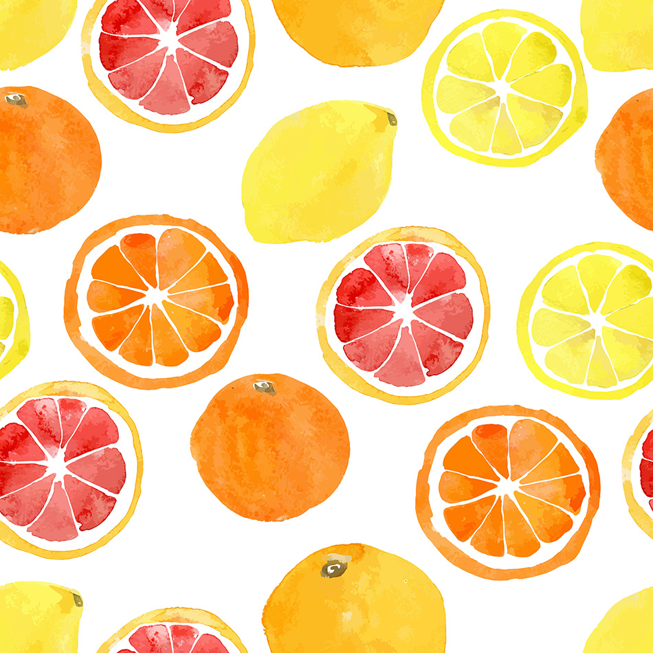 Watercolor vector citrus fruit