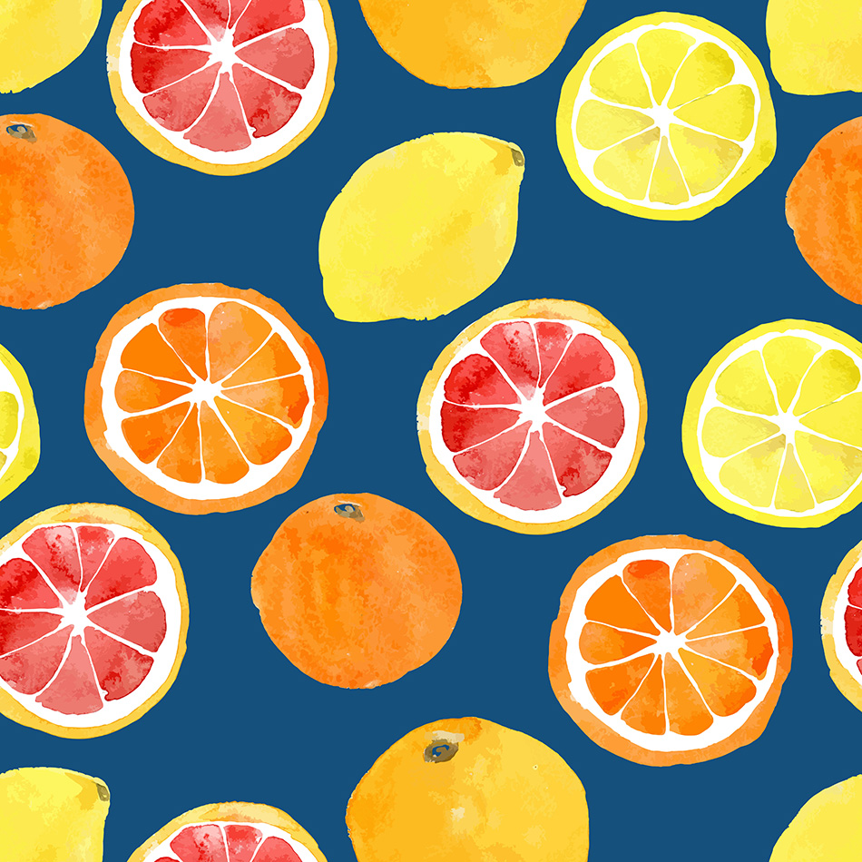 Watercolor vector citrus fruit