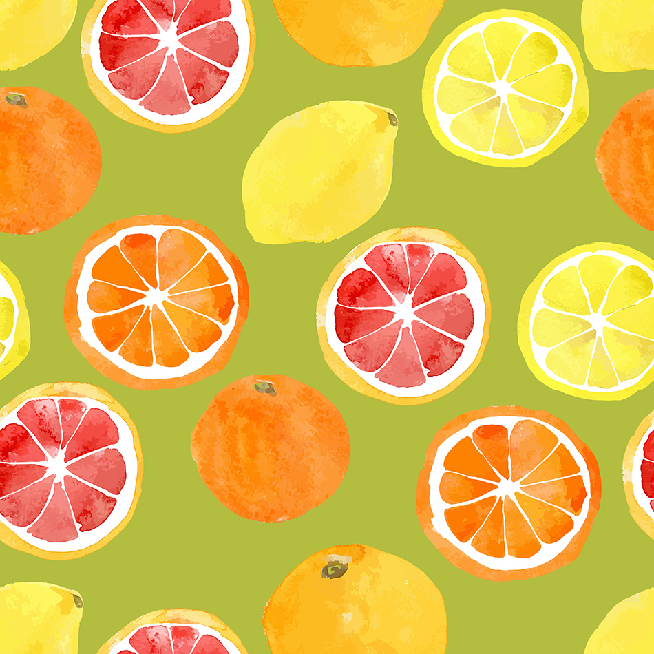 Watercolor vector citrus fruit