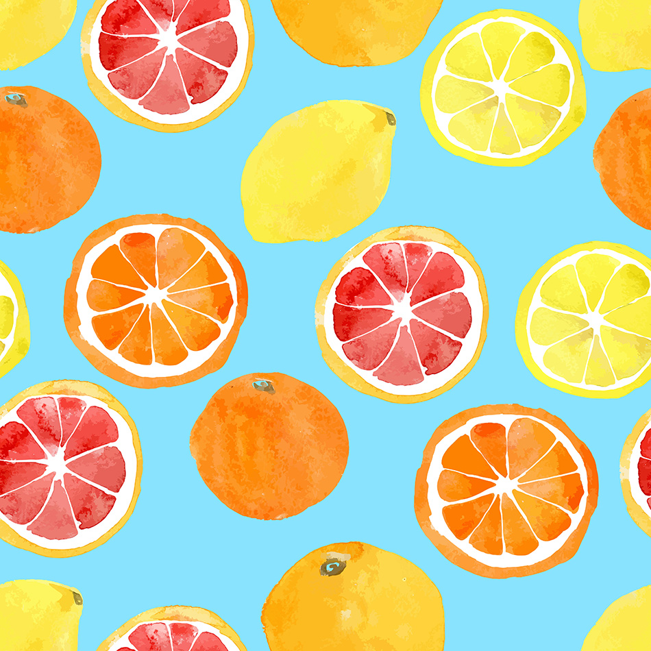 Watercolor vector citrus fruit