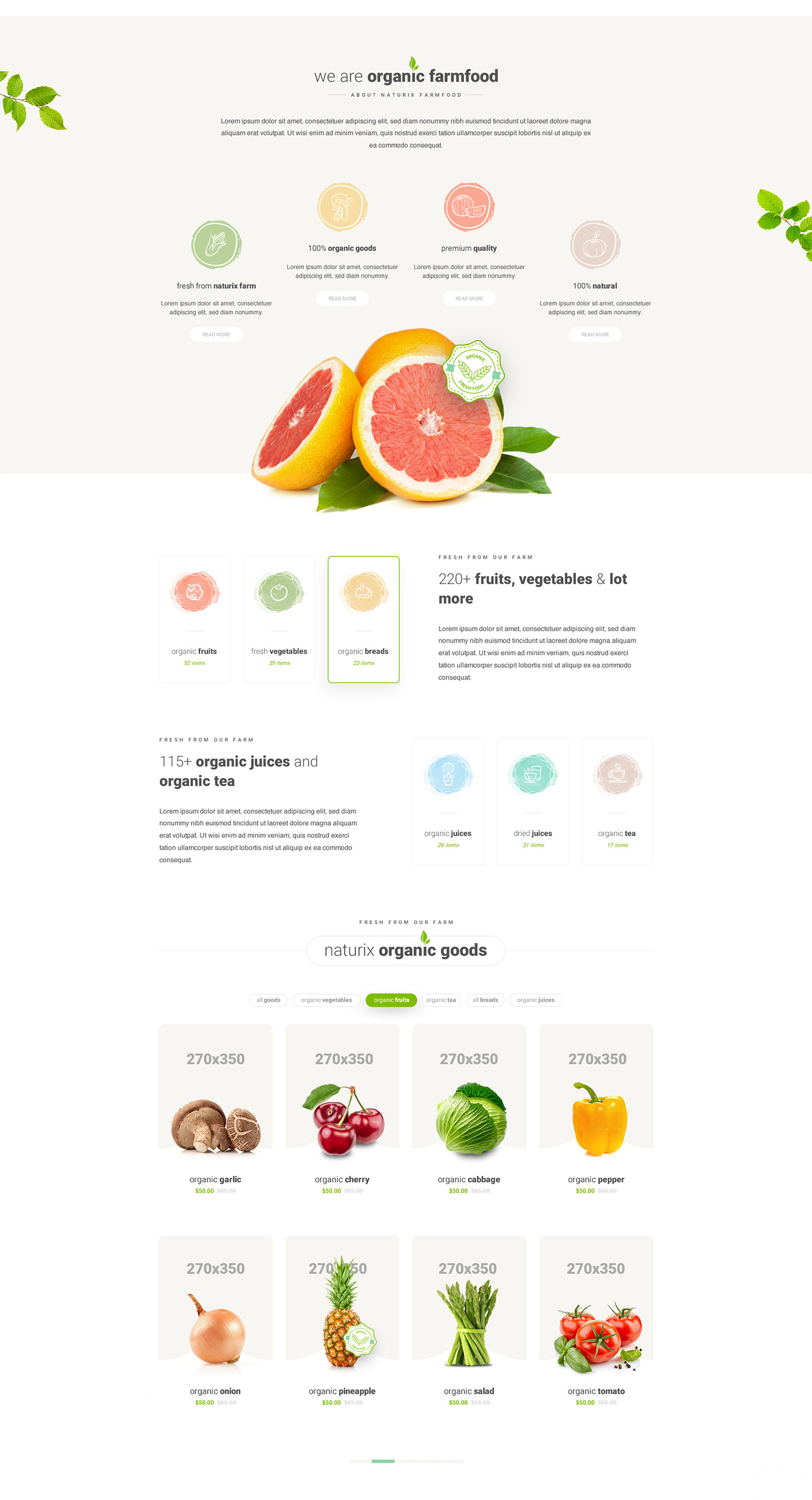 食品网站模板 Healthy Food Website