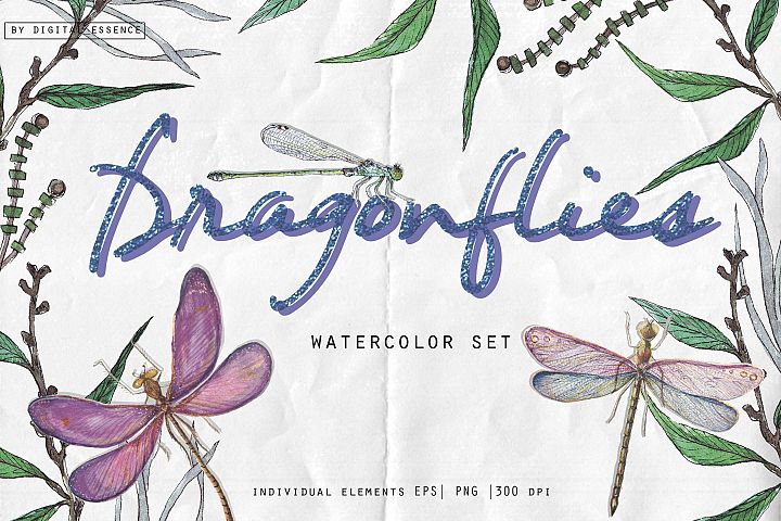 蜻蜓水彩画矢量元素&PNG素材 Watercolor