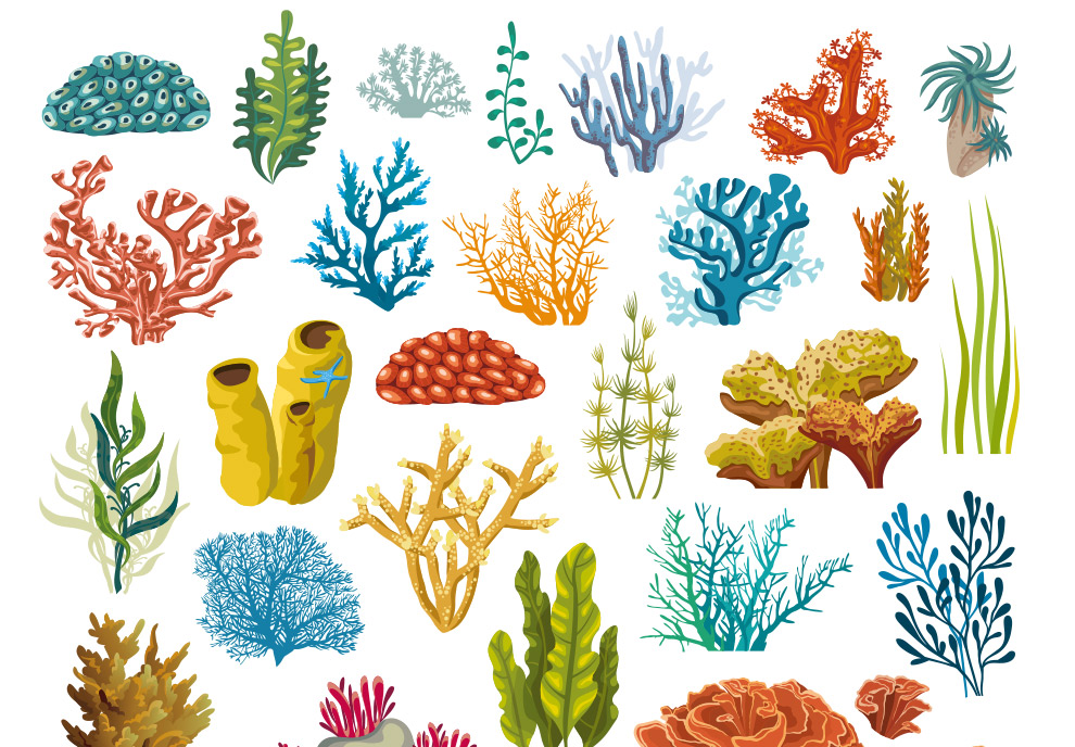 海底世界珊瑚矢量元素Seabed world coral