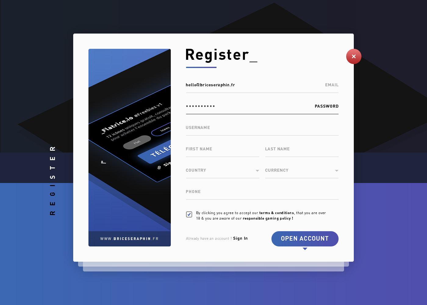 注册表单界面设计 Register Form Templat