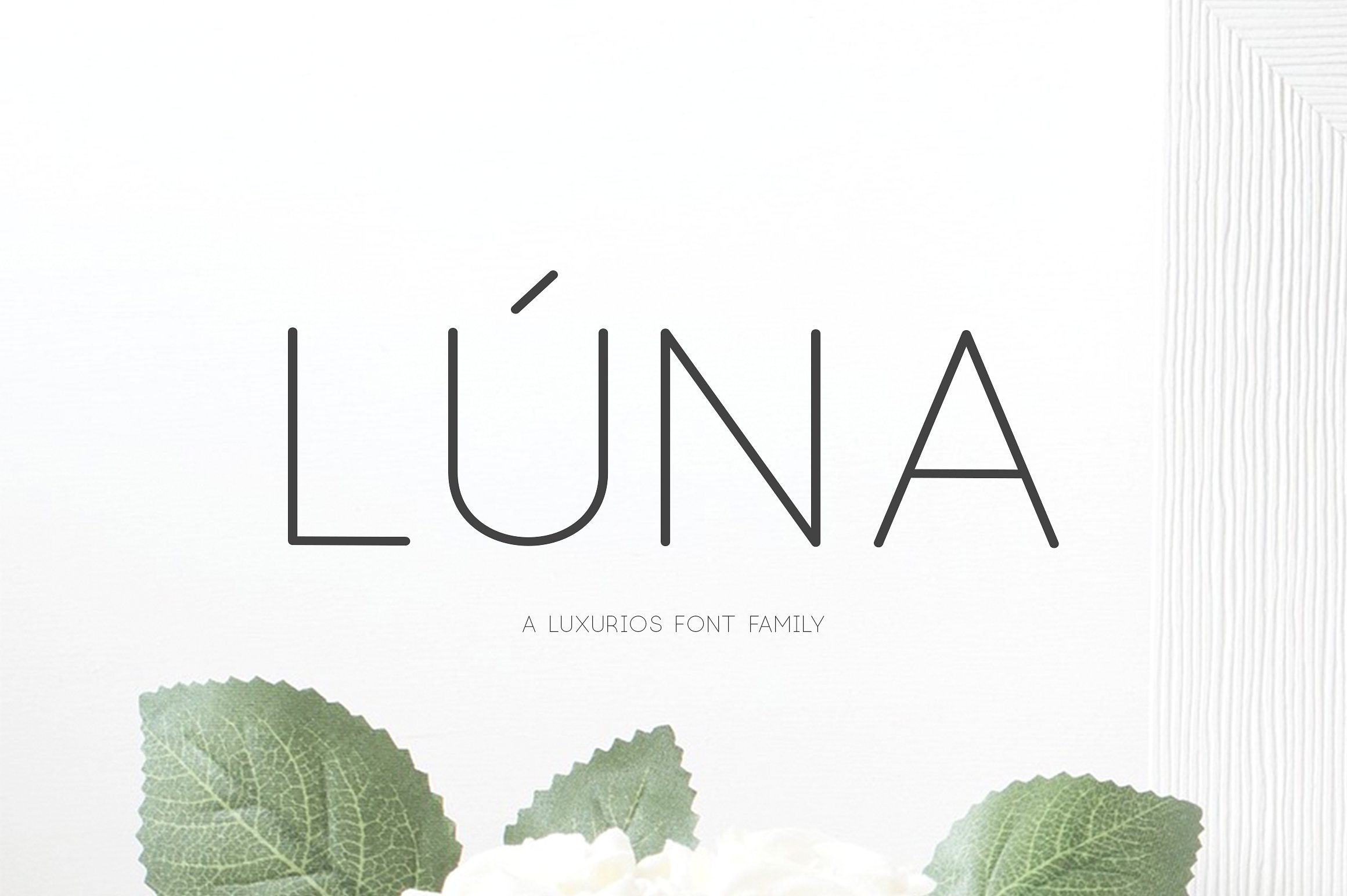 婚礼请柬/邀请函必备字体(NEW) Lúna - A Lux