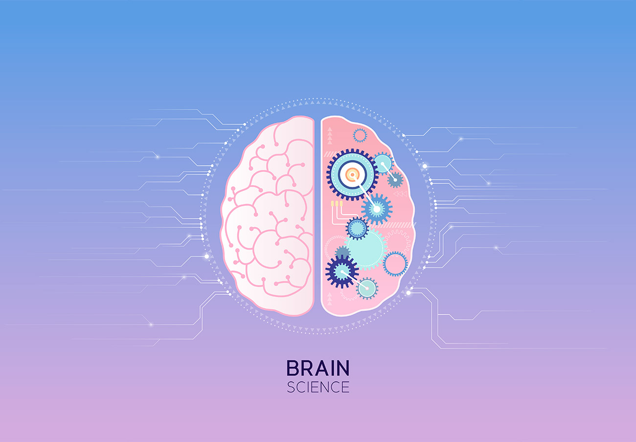 Brainb Science 大脑神经网络人工智能AI矢量插