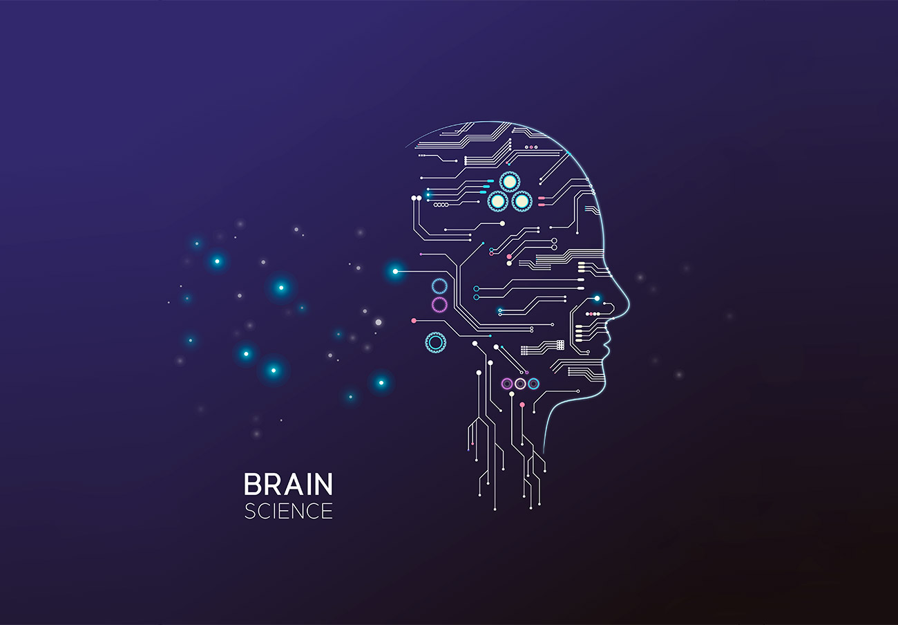 Brainb Science 大脑神经网络人工智能AI矢量插