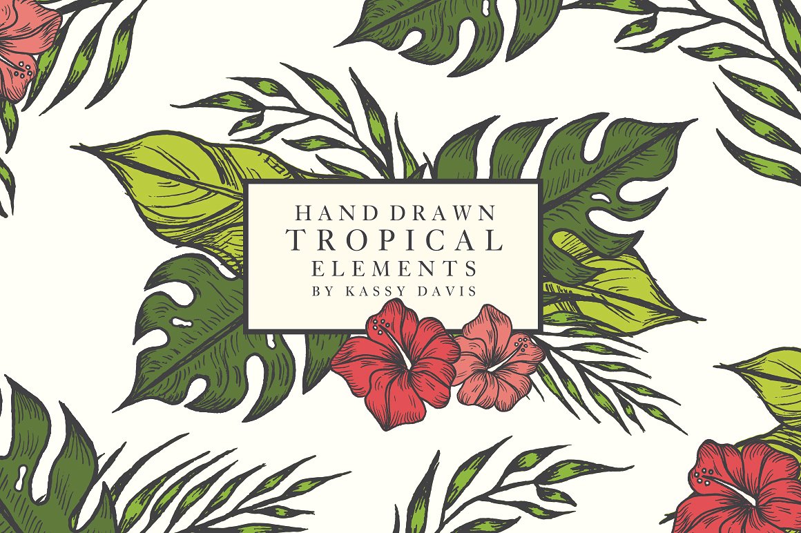 一套热带夏威夷丛林植物手绘矢量素材合集包 Hand Draw