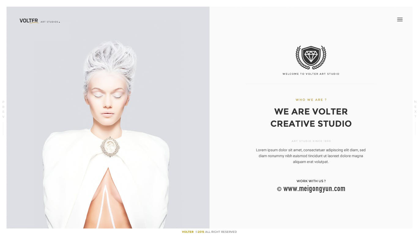 高端时尚创意网站设计模板Elements-Volter-Cr