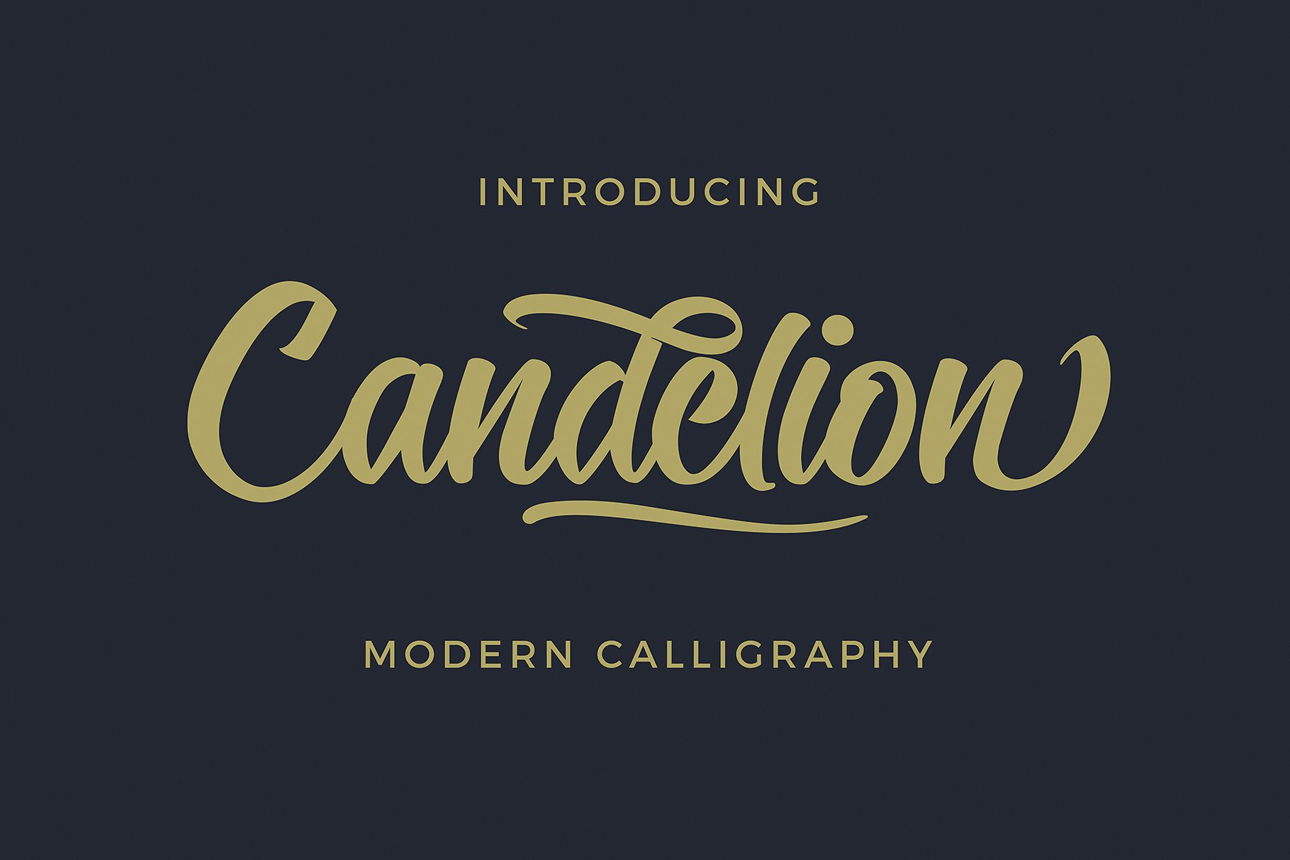 现代干净大胆的一款手写英文字体 Candelion Scri