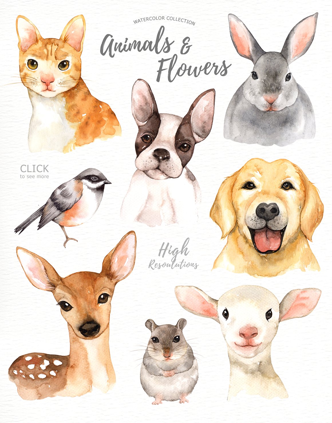 高品质手绘水彩林地动物花卉插画PNG免扣元素 Animals