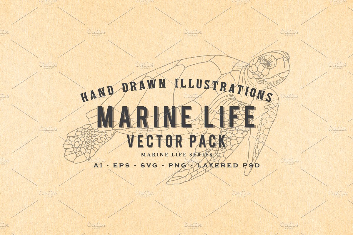 30款手绘海洋生物矢量素材合辑下载30 Hand Drawn