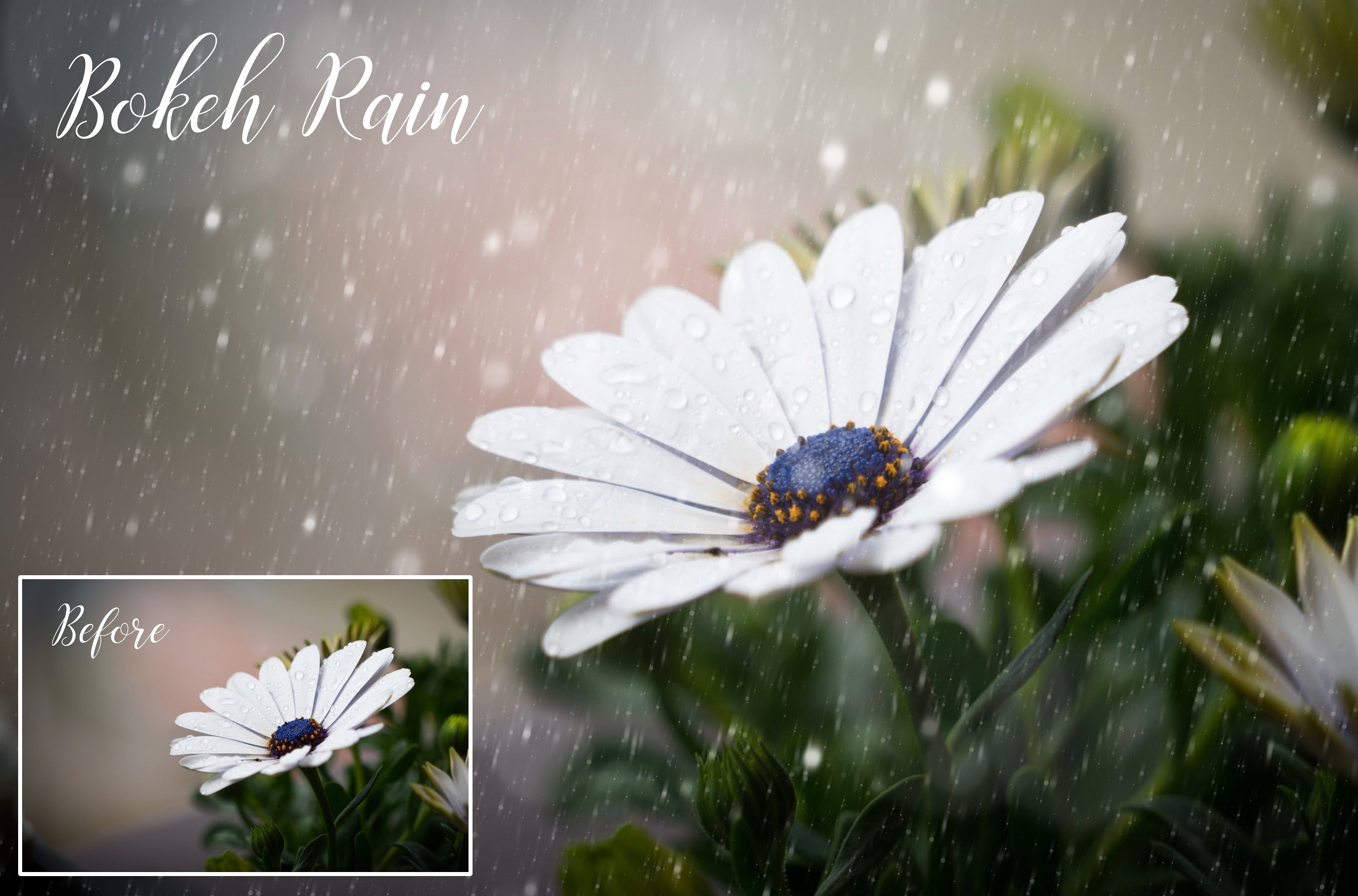 逼真的下雨效果透明PNG图片素材Realistic rain