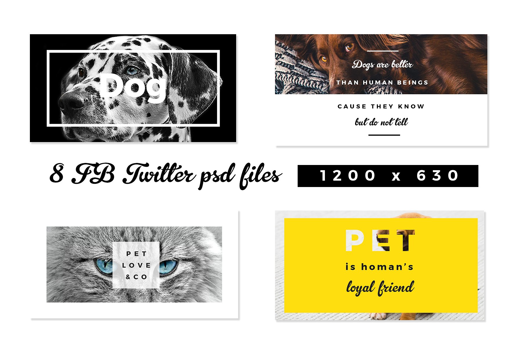 时尚高逼格的宠物社交媒体图片展示模板下载Pet Lovers