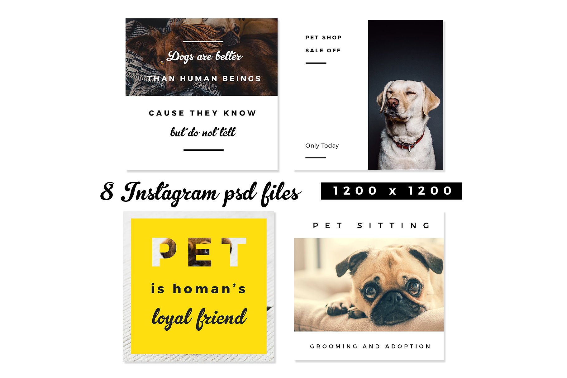 时尚高逼格的宠物社交媒体图片展示模板下载Pet Lovers