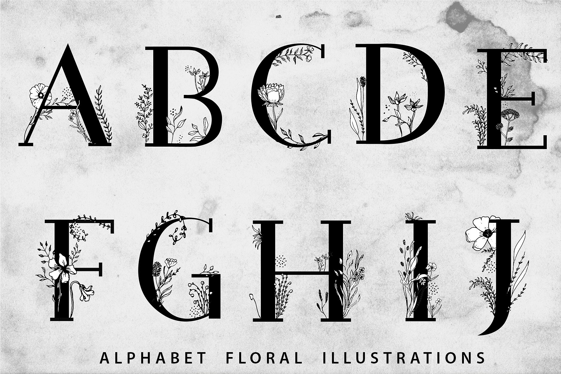 手绘和数字化花卉元素英文字体 Blossom Font +
