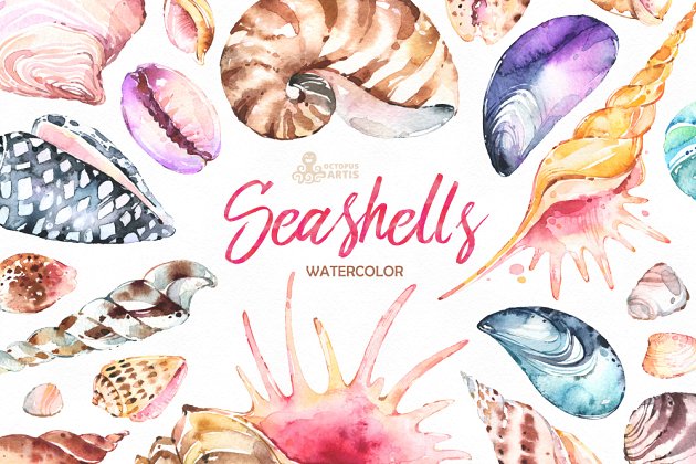 奇形怪状的贝壳水彩画素材集合 Seashells. Wate
