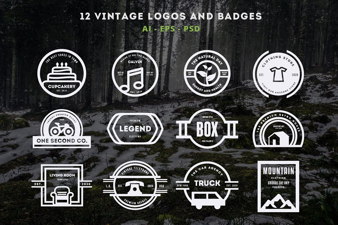 12组复古风格徽章商标模版素材 Vintage Logos