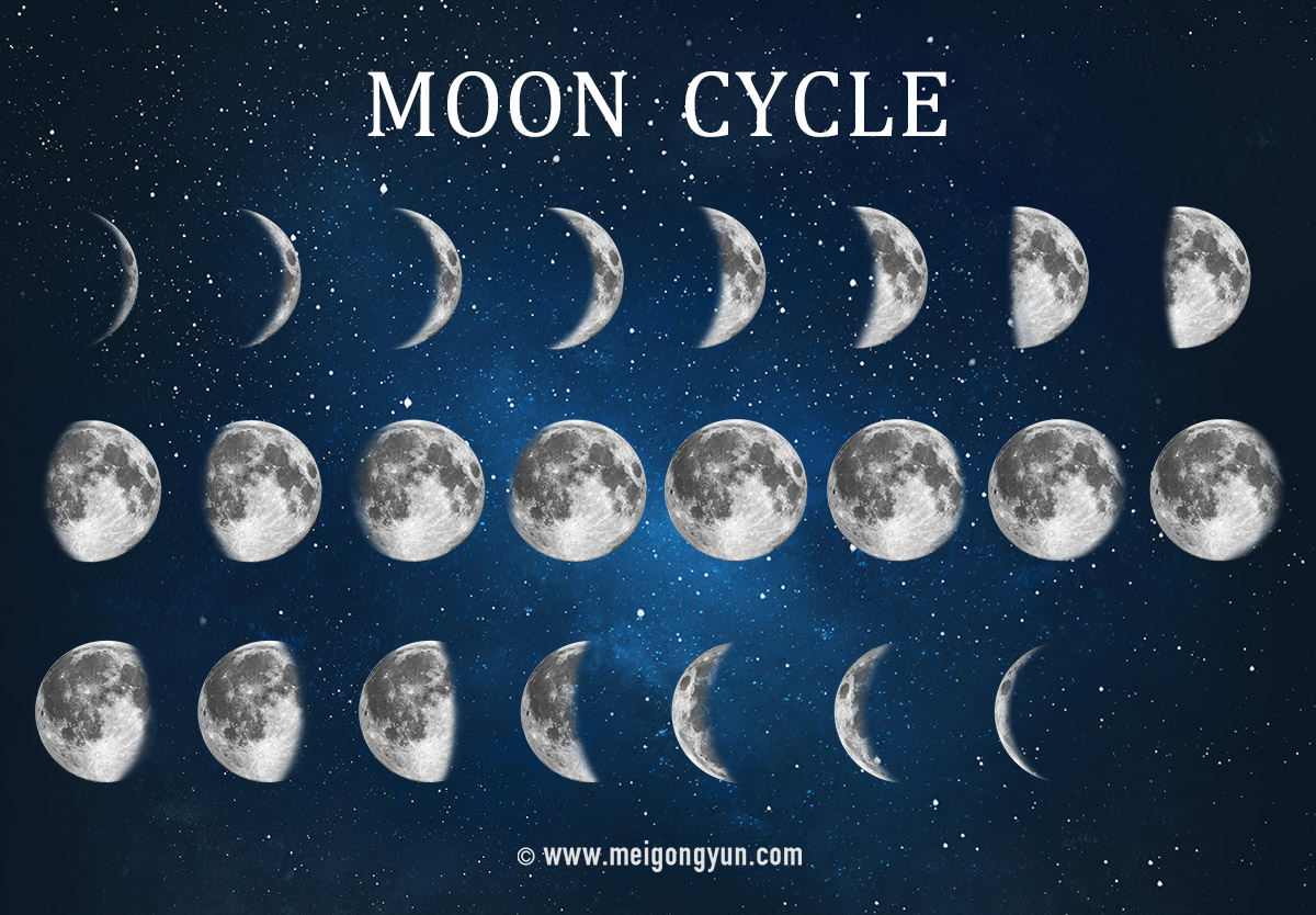 月亮月球变化满月新月凸月上弦月PNG免抠设计素材#06190