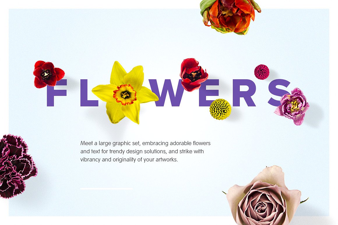 超过400个高品质花卉植物花朵元素大集合 Flower Ma