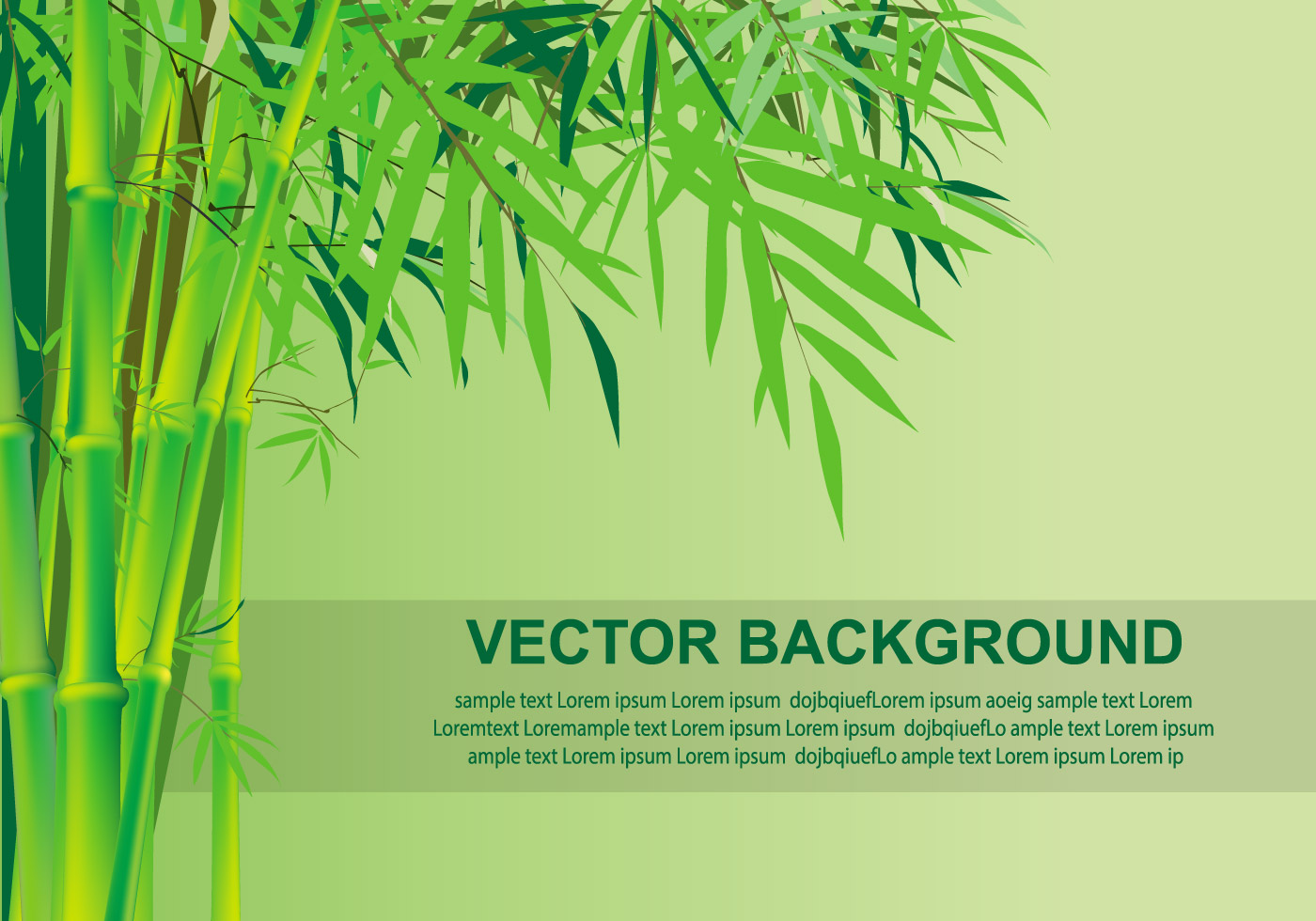 竹子竹林景观矢量插图Bamboo Vector Backgr