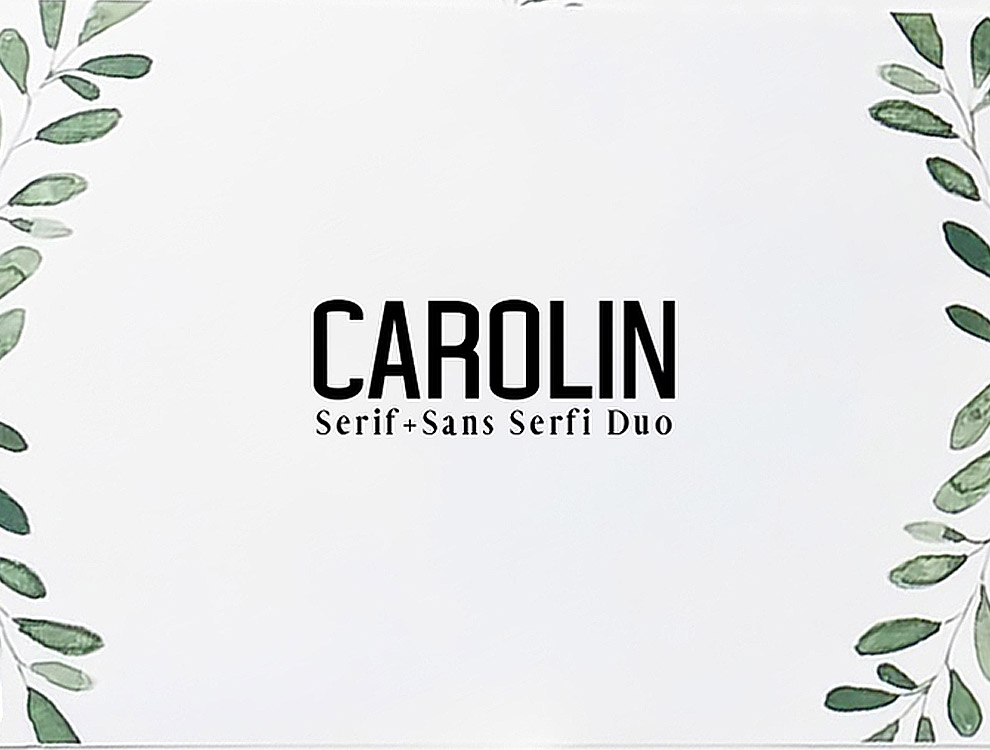 一款华丽非凡独特的英文字体Carolin Duo Font