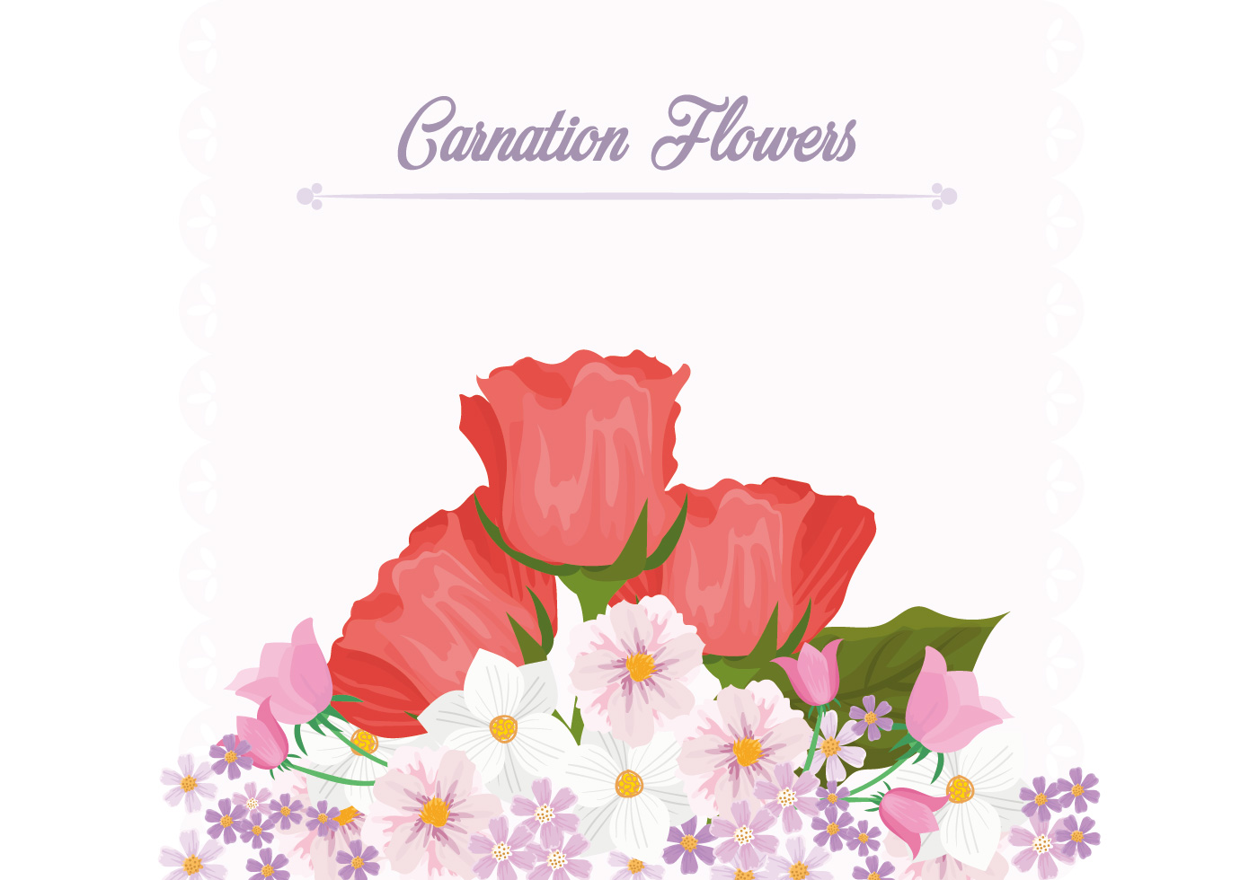 香石竹花矢量插图Carnation Flower Backg