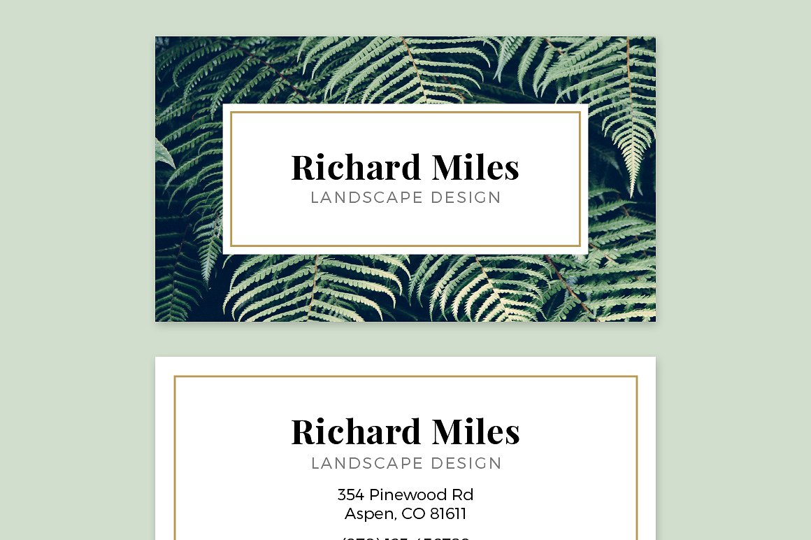 植物背景名片模板Business Card Template