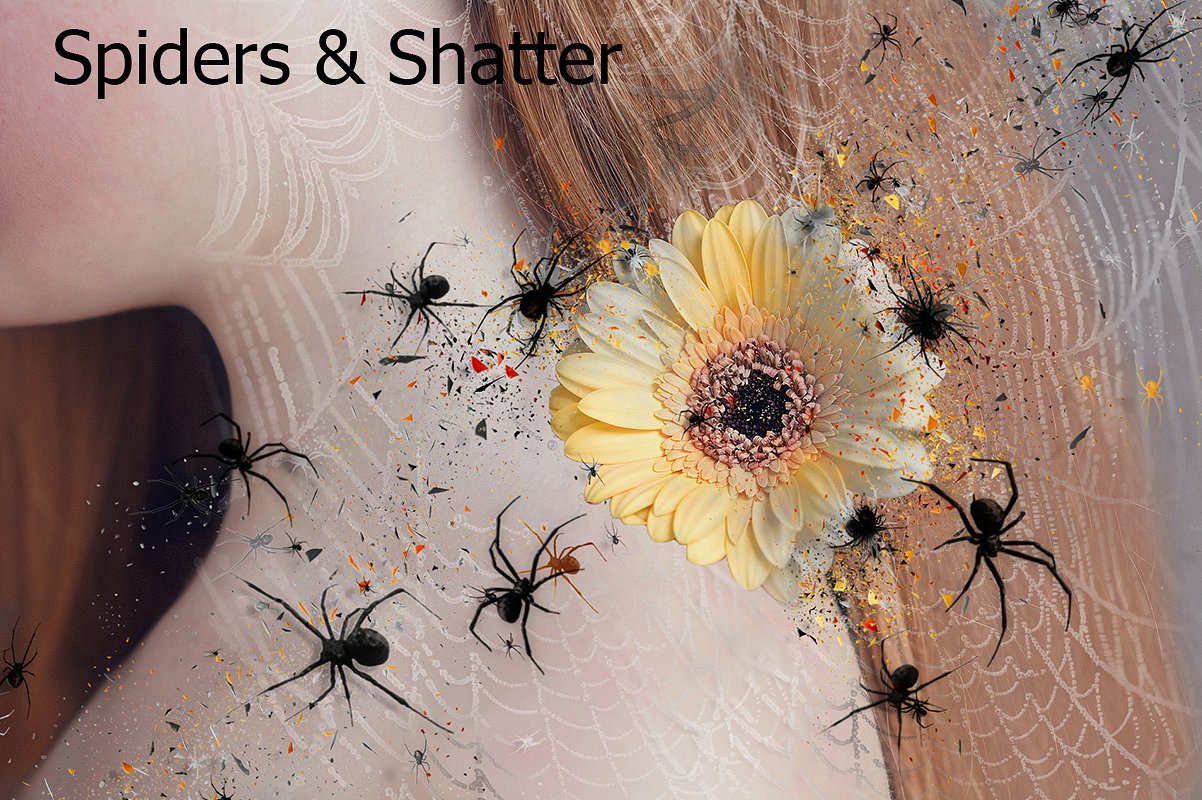Spiders -amp; Shatter Ps Actio