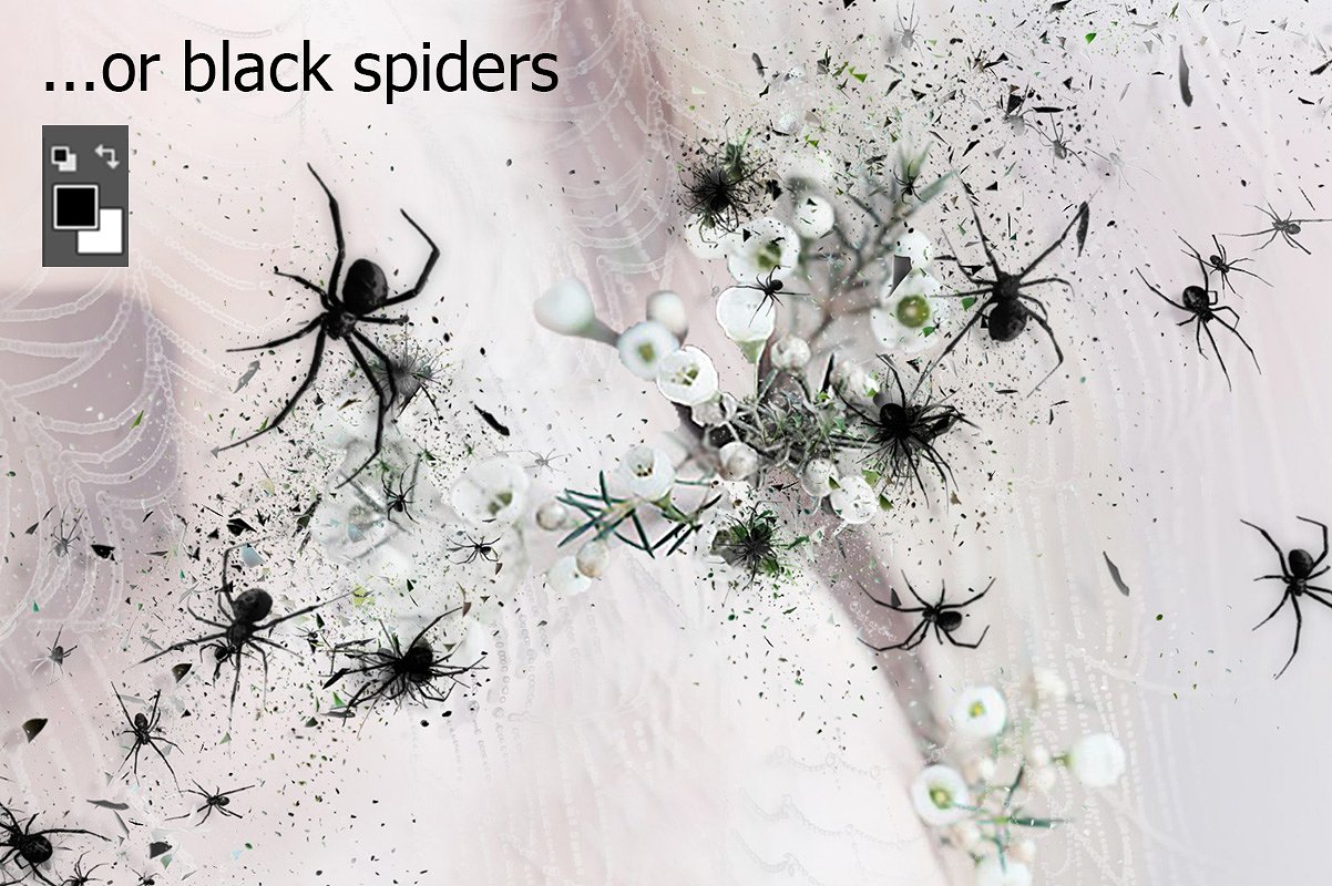 Spiders -amp; Shatter Ps Actio