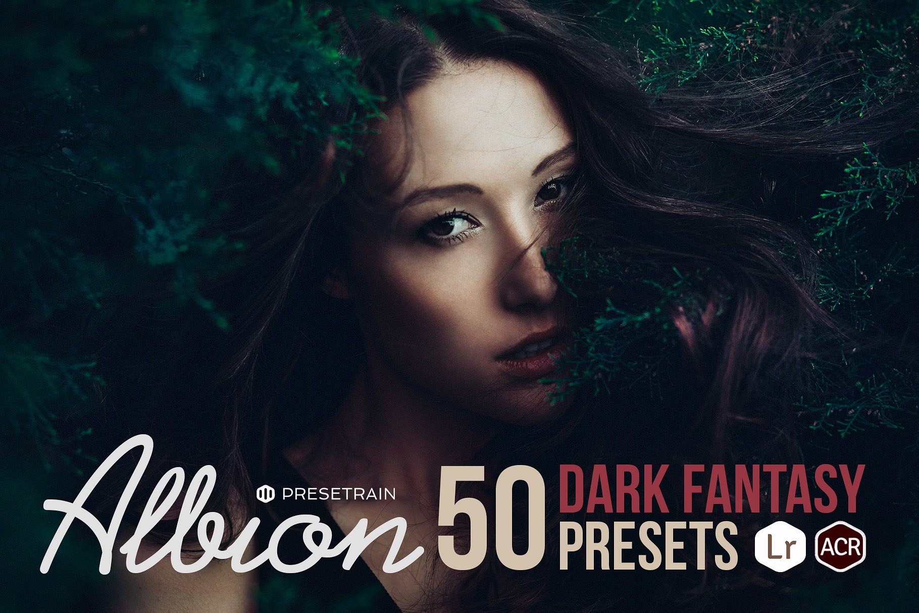 Albion Dark Fantasy Presets LR