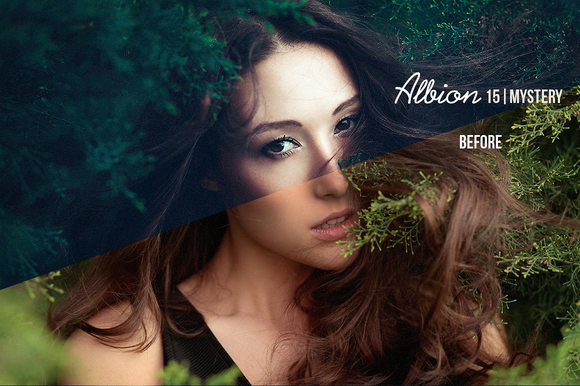 Albion Dark Fantasy Presets LR