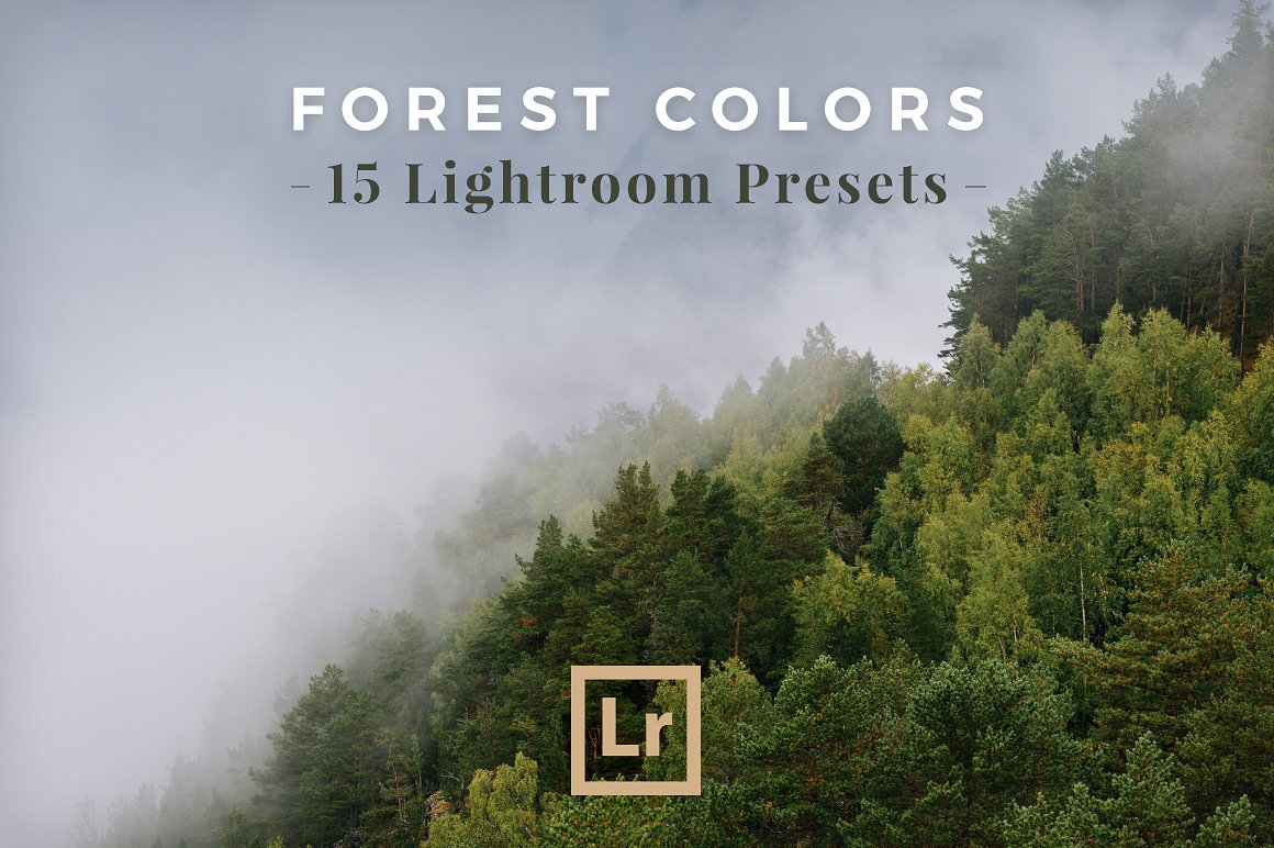 森林场景LR预设Lightroom Presets Fore